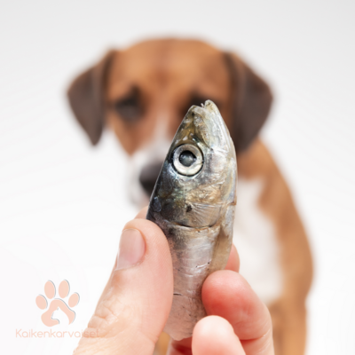 Kaikenkarvaiset Itämeren silli 200g