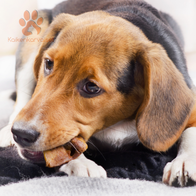 Kaikenkarvaiset naudanpäänahkaherkku 150g koirille