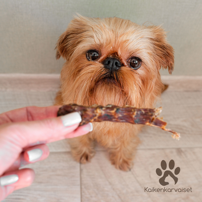 Kaikenkarvaiset ankan kaula 200g