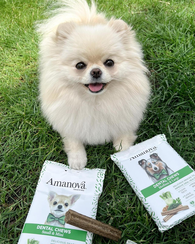Amanova dog adult Dental puruherkku medium & large vegan