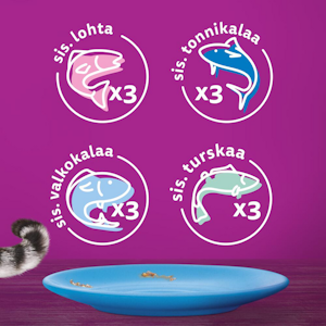 Whiskas 1+ kalasuosikit hyytelössä 12x85g