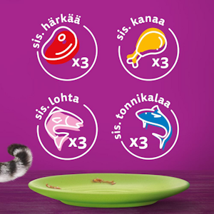 Whiskas 7+ suosikit lajitelma kastikkeessa 12x85g