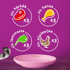 Whiskas Junior perinteiset ateriat kastikkeessa 12x85g