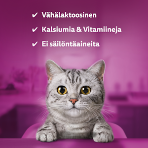 Whiskas Catmilk 200ml kissanmaito