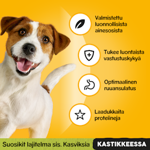 Pedigree 4x100g Adult kastikelajitelma kana & kasvis, härkä & maksa