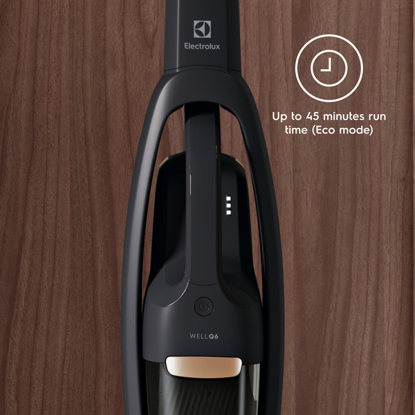 Electrolux Well Q6 WQ61-42GG -varsi-imuri