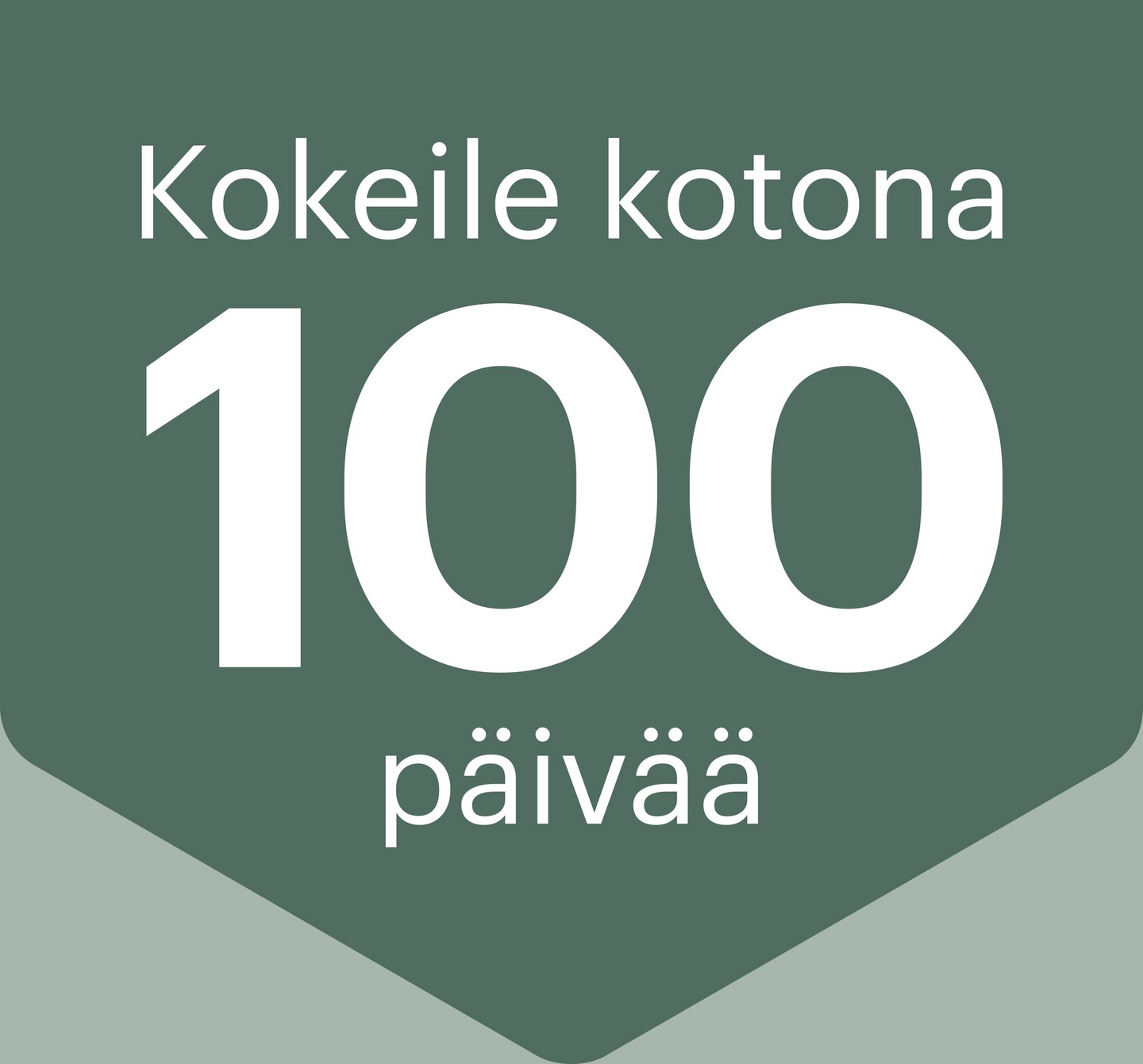 OBH Nordica Dual Easy Fry AG901NS0 -airfryer