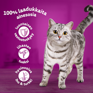 Whiskas 1+ perinteiset ateriat kastikkeessa 12x85g