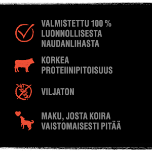 Crave Protein Chunks 55g härkä