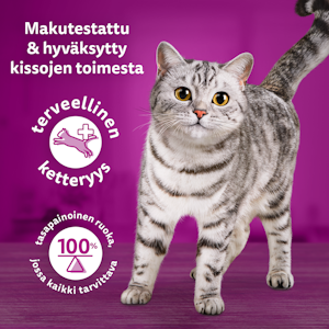 Whiskas 1+ Tasty Mix Täyteläiset herkut kastikkeessa 12x85g