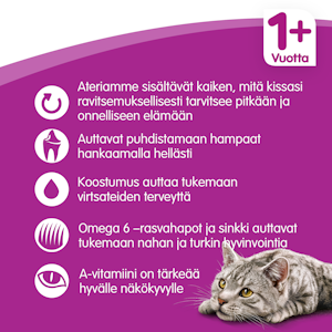 Whiskas 1+ Kanaa 800g