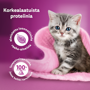 Whiskas Junior Pure Delight mureaa siipikarjaa hyytelössä 12x85g