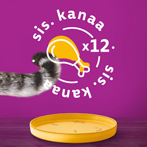 Whiskas kanaa kastikkeessa 400g