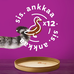 Whiskas ankkaa hyytelössä 400g