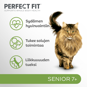 Perfect Fit Senior 7+ kana 1,4kg