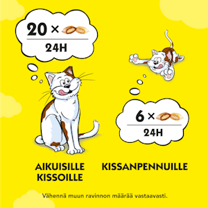 Dreamies Mix  kissanherkku kana&ankka 60g