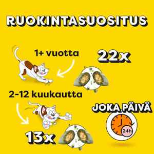 Dreamies Shakeups Multivitamin 55g Rockin Roost kana-ankka-kissanminttu