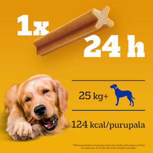 Pedigree Dentastix Large 154g