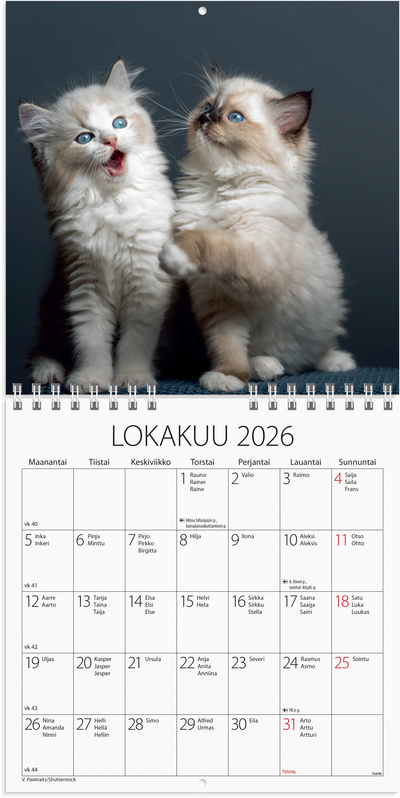 Burde seinäkalenteri 2026 kissanpennut