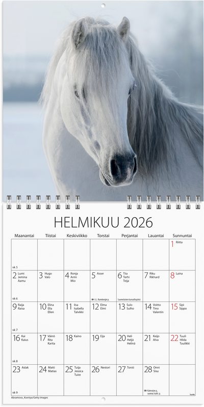 Burde seinäkalenteri 2026 ponit