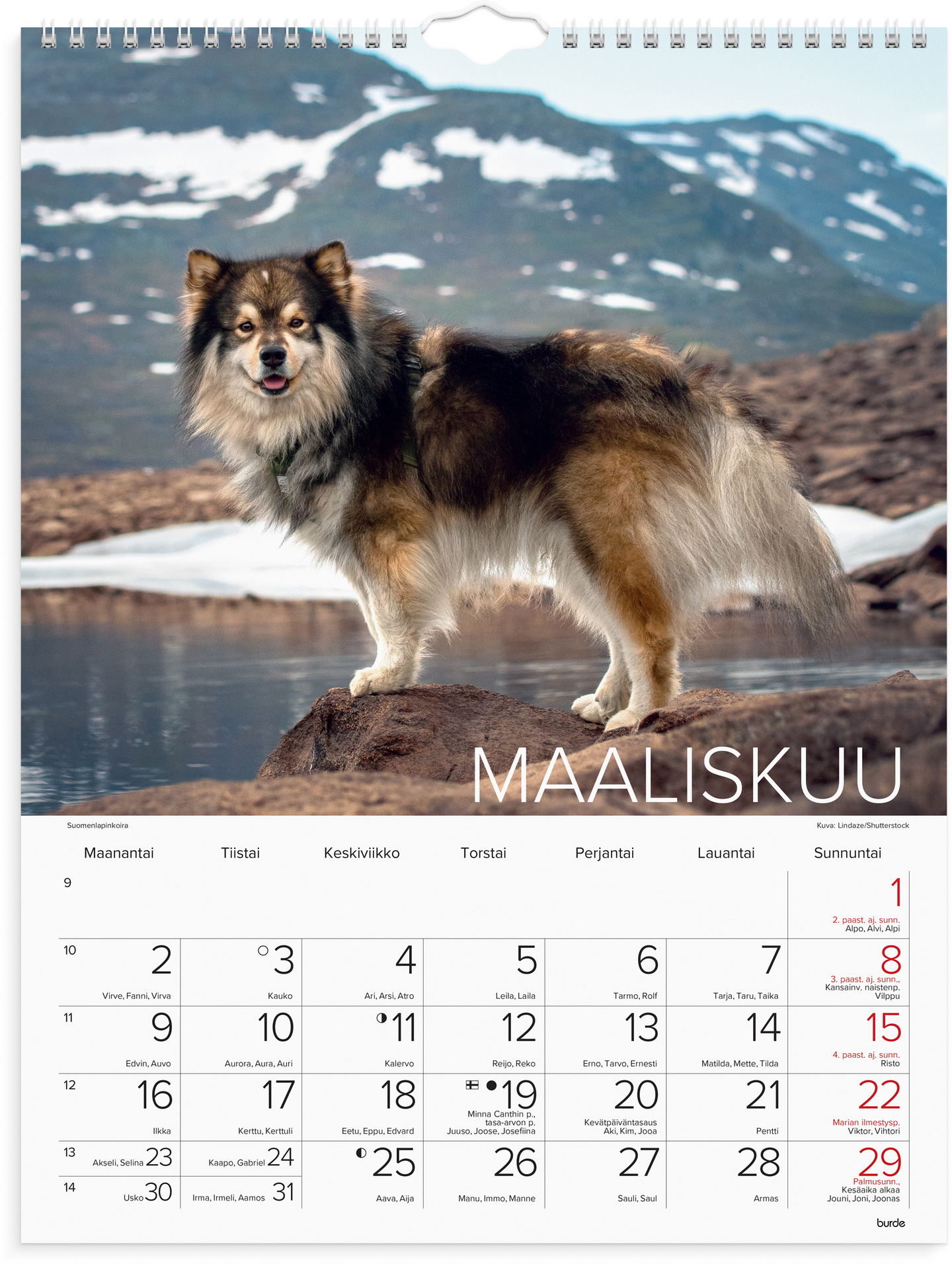 Burde seinäkalenteri 2026 koirat