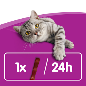 Whiskas Meaty Sticks 3x6g Lohi