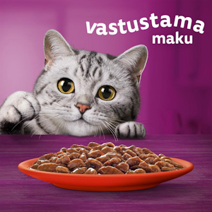 Whiskas 1+ perinteiset ateriat kastikkeessa 24x85g