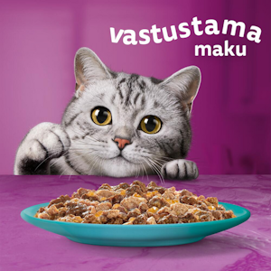 Whiskas 1+ Duo Meren Herkut Hyytelössä 12x85g