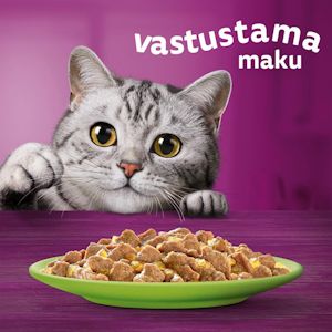 Whiskas 1+ Suosikit lajitelma hyytelössä 42x40x85g PUOLILAVA