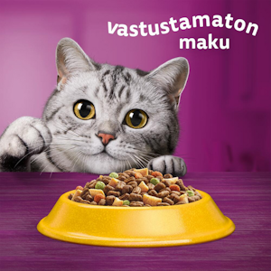 Whiskas 7+ Kanaa 800g