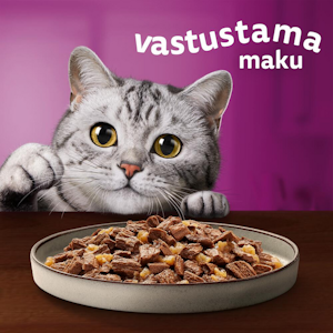 Whiskas 1+ Pure Delight meheviä suikaleita hyytelössä 12x85g