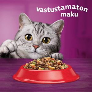 Whiskas 1+ kissan kuivaruoka 3,8kg härkä