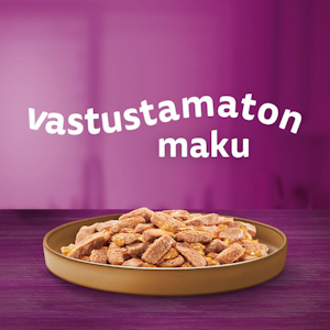 Whiskas ankkaa hyytelössä 400g