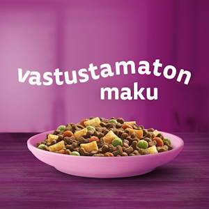 Whiskas Junior kanaa 800g