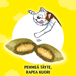 Dreamies Kissanminttu 60g kissanherkku