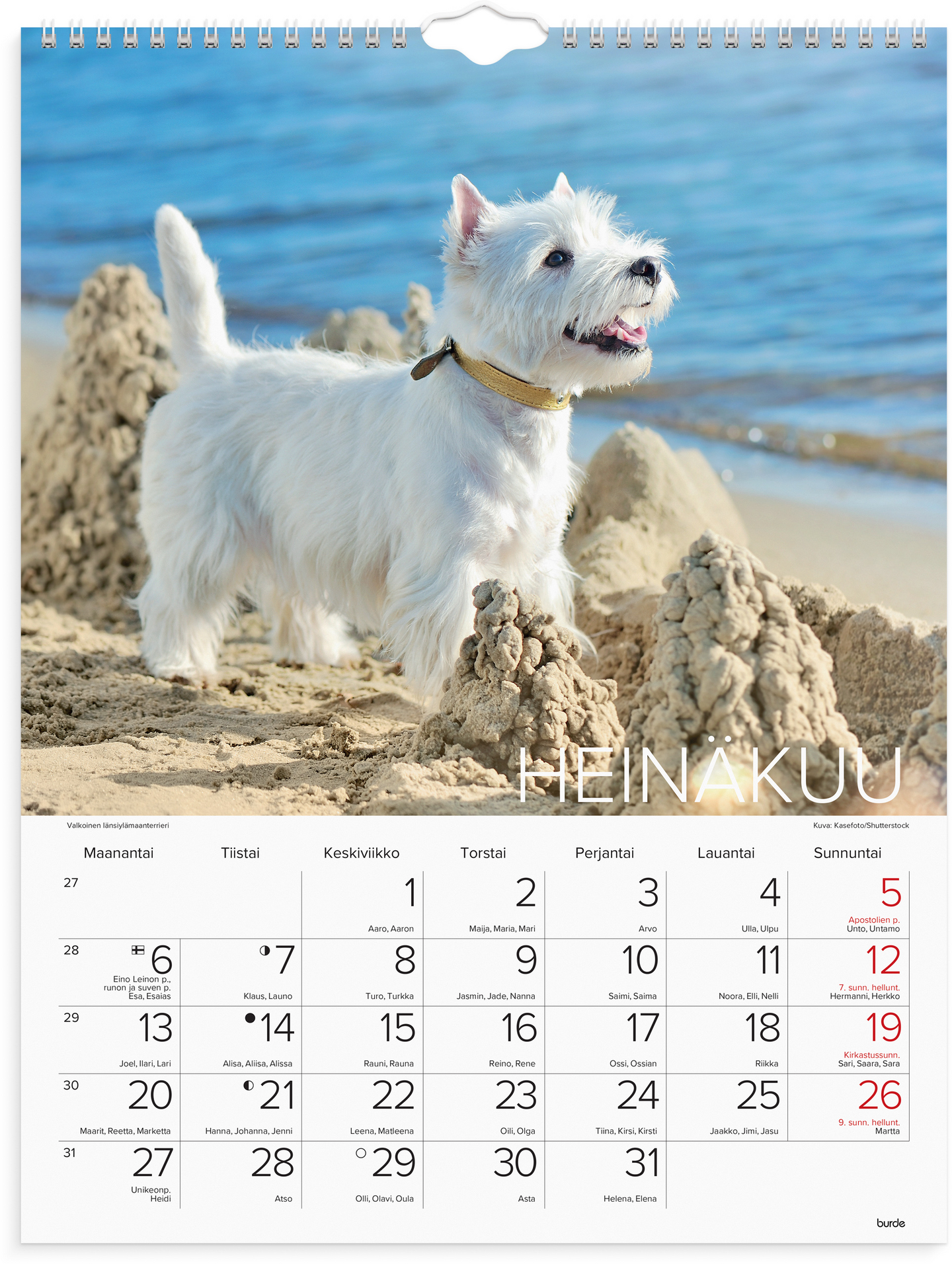 Burde seinäkalenteri 2026 koirat