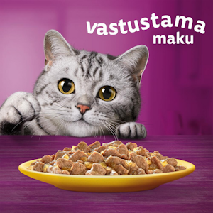 Whiskas 11+ siipikarjaherkut hyytelössä 12x85g