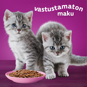 Whiskas Junior perinteiset ateriat kastikkeessa 12x85g