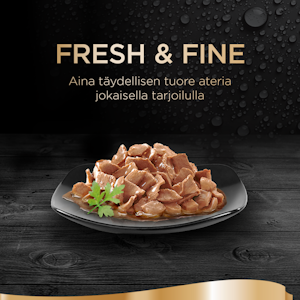 Sheba Fresh&Fine 50x50g Siipikarja kastikkeessa