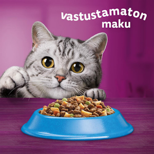 Whiskas 1+ Tonnikalaa 800g