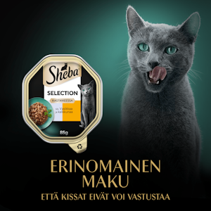 Sheba Selection annosateria kissalle vasikka-kalkkuna 85g