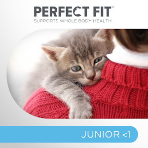 Perfect Fit Junior alle 1v 750g kana