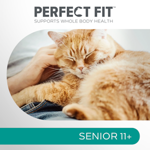 Perfect Fit Senior 11+ kana 750g