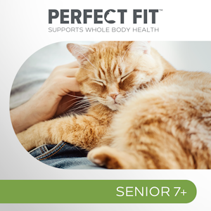 Perfect Fit Senior 7+ kana 1,4kg