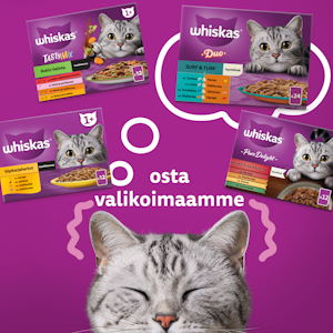 Whiskas 7+ perinteiset ateriat kastikkeessa 12x85g