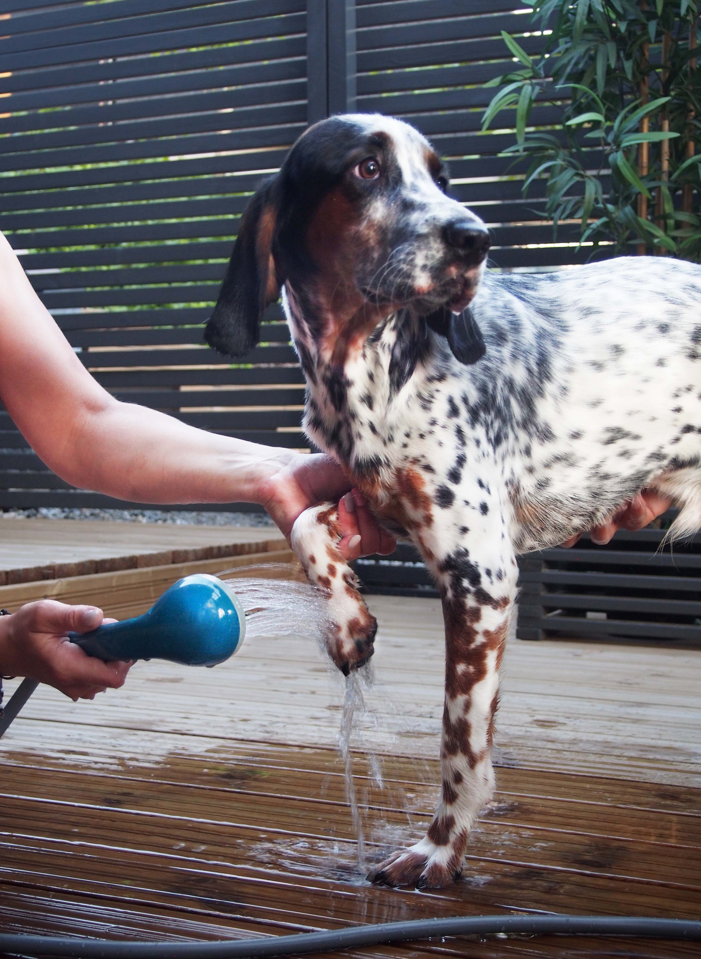 Tarmo ladattava retki- ja mökkisuihku