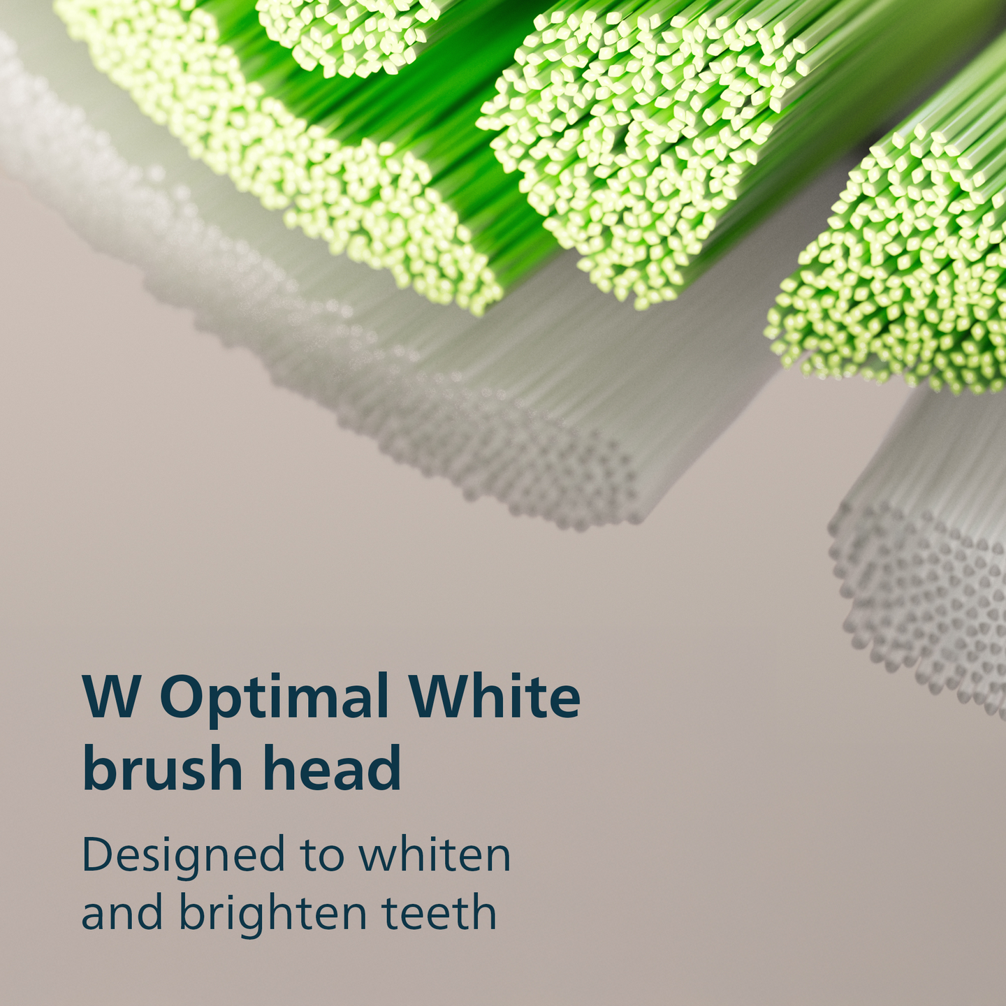 Philips Sonicare 3100 Series HX4072/73 -sähköhammasharja, 2 kpl