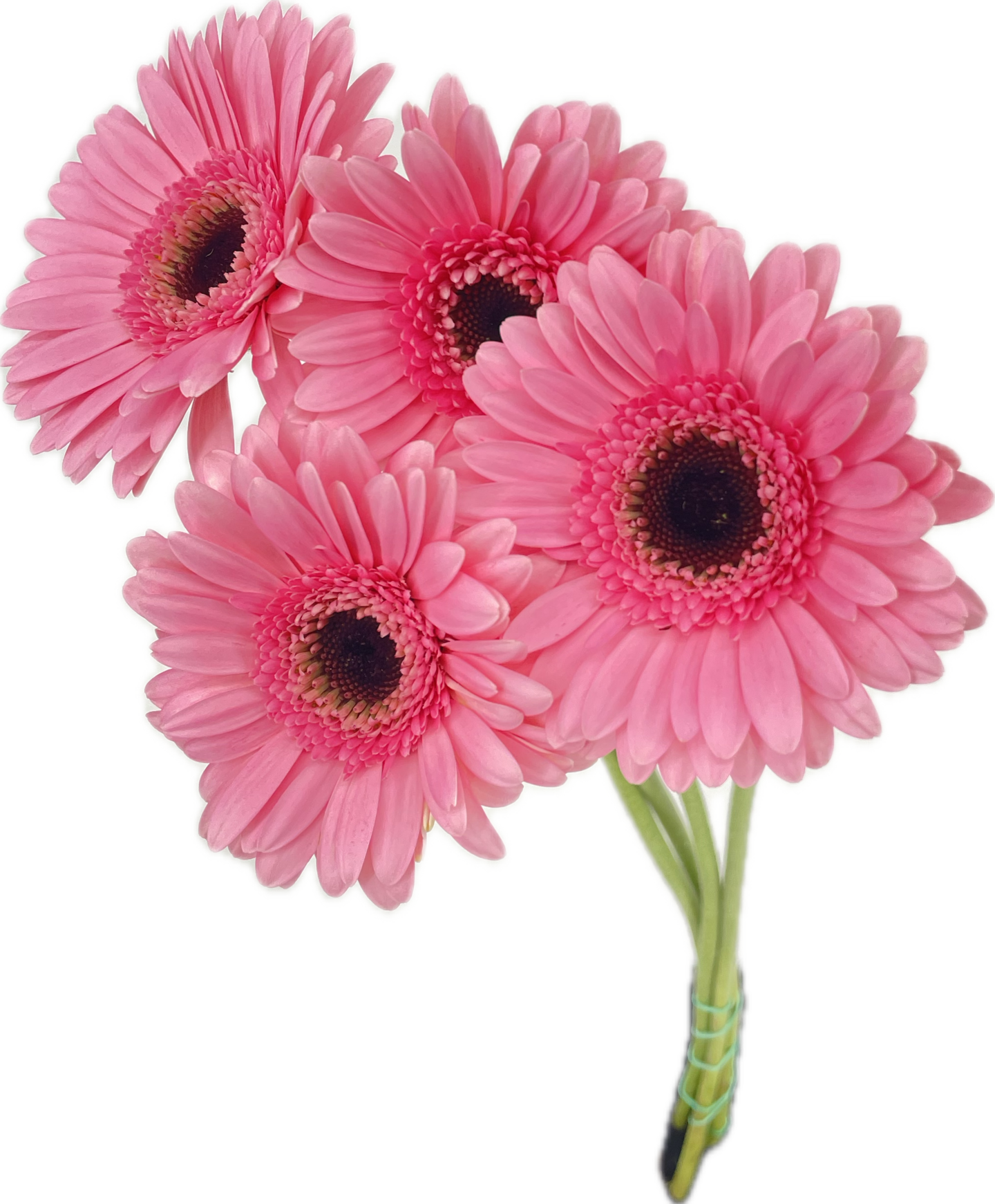 Pirkka Ota 3 maksa 2: Germini