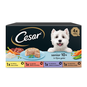 Cesar Senior hyytelölajitelma 4x150g