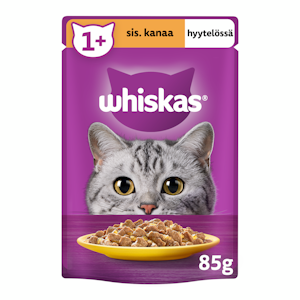 Whiskas 1+ Kanaa Hyytelössä 85g